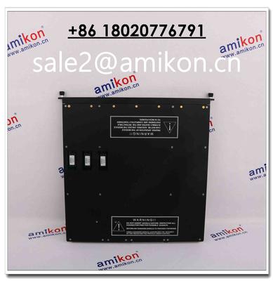 TRICONEX 8300A | sales2@amikon.cn | Large In Stock